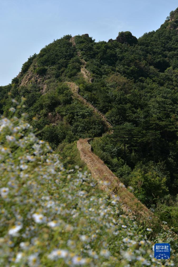 博狗平台